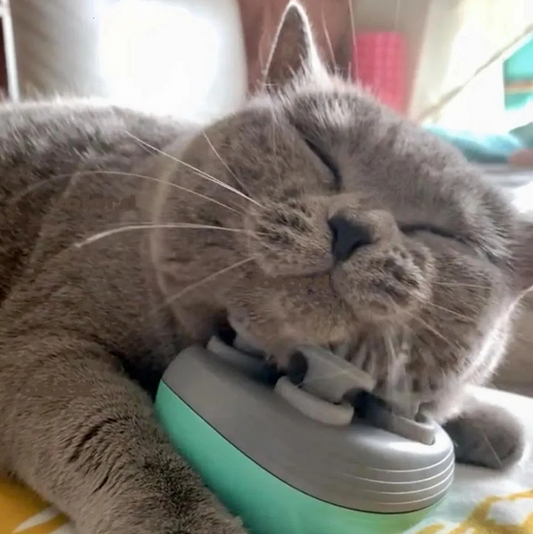 Waterproof Electric Wireless Body Massage Device